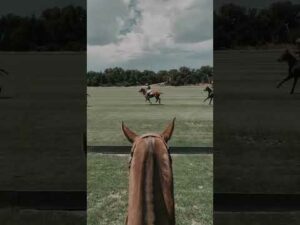 Who else “doesn’t have a hobby”? 🙋🏽‍♂️