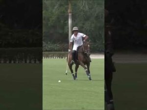 Segundo Saravi Theading the Needle 🪡🧵