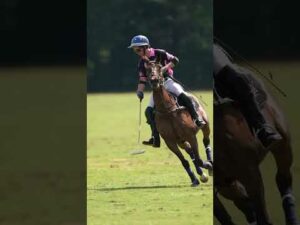 The power and grace of polo is not lost on us.