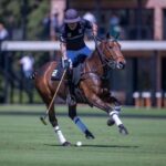 Se presentó Ellerstina Yellow Rose para la Triple Corona