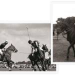 70º Aniversario del Guards Polo Club: Una Celebración de Historia y Prestigio