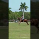 🎯 Facundo Pieres