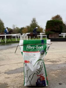 Giving Thoroughbreds a Second Chance with New Beginnings – proudly supported by British Horse Feeds