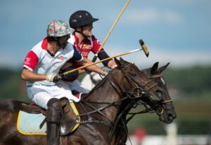 Maciek Olbrych: A Life Between Polo and Chovken
